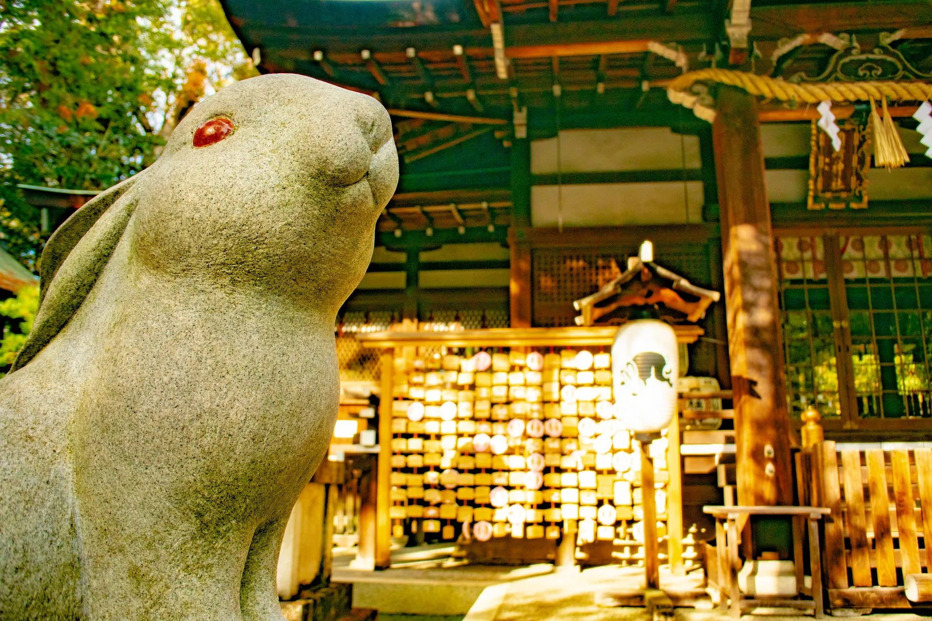 Image may contain Wood Animal Bear Mammal and Wildlife